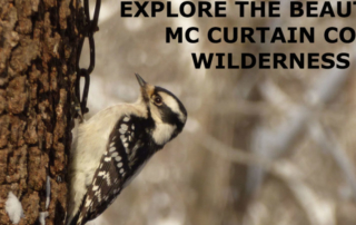 Woodpecker. Text: Explore the beauty of Mccurtain County WIlderness Area.