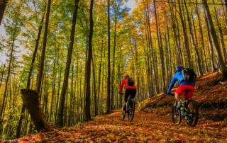 Bikers on a fall forest trail.
