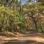 hiking in broken bow