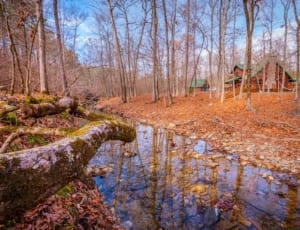 Creek near Pet Friendly Cabins in Oklahoma