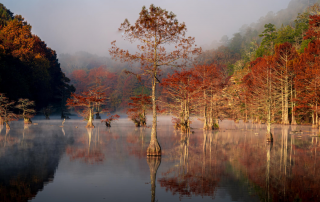 Pictures of fantastic Oklahoma fall foliage.