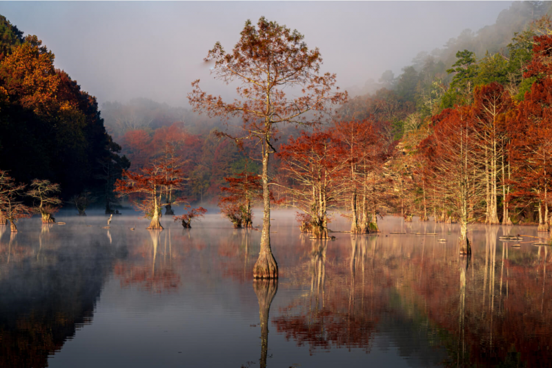Oklahoma Fall Foliage Broken Bow Luxury Cabins