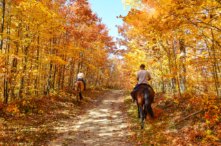 People horseback riding, one of the best things to do in the fall in Broken Bow, OK.