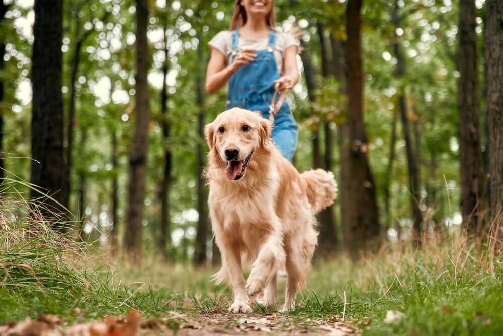 A woman and dog hiking in Broken Bow when staying at one of the pet friendly cabins in town.